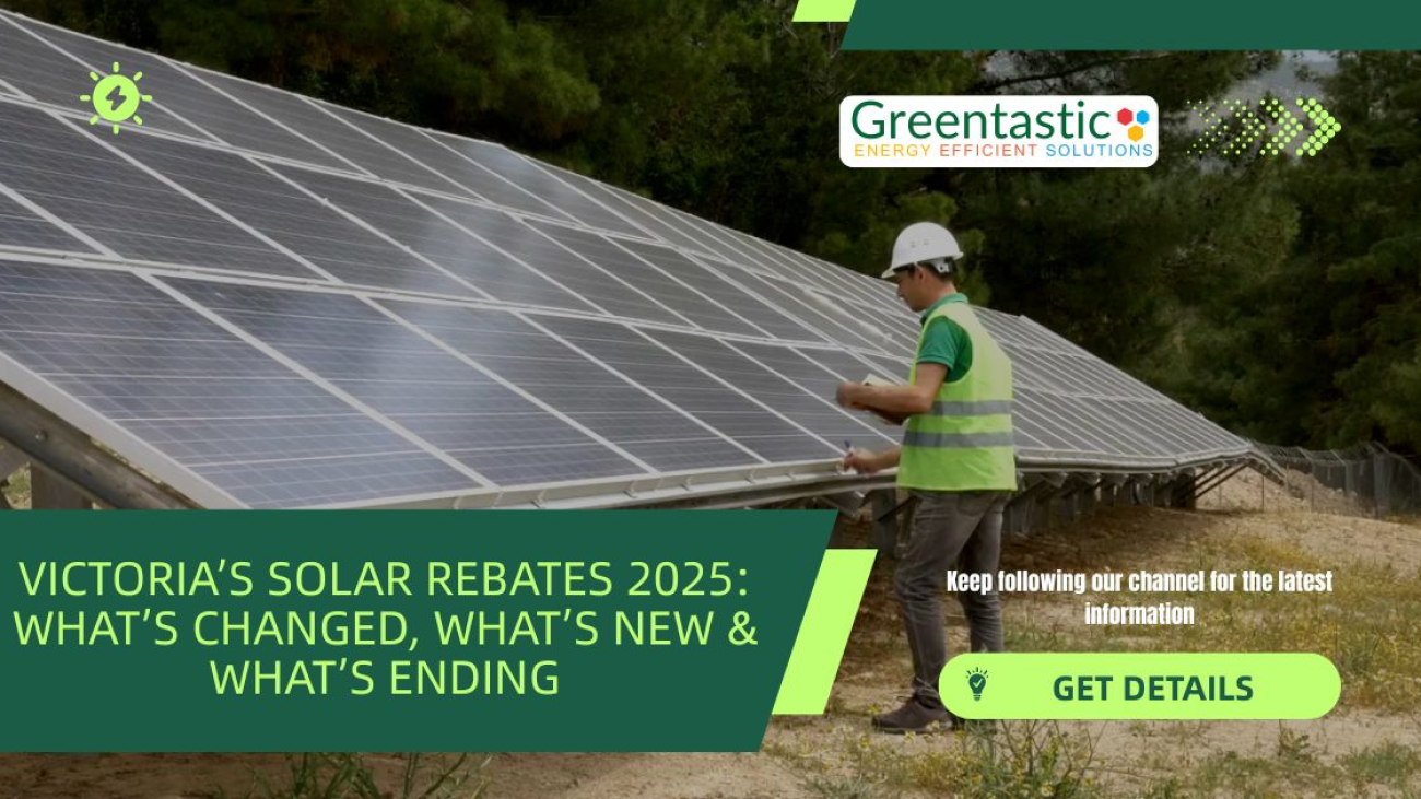 Greentastic & VAS BLOG IMAGES (Instagram Post) (11)