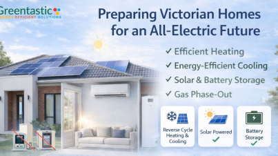 Greentastic & VAS BLOG IMAGES (Instagram Post) (57)