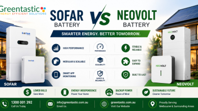 Sofar Battery vs Neovolt Battery